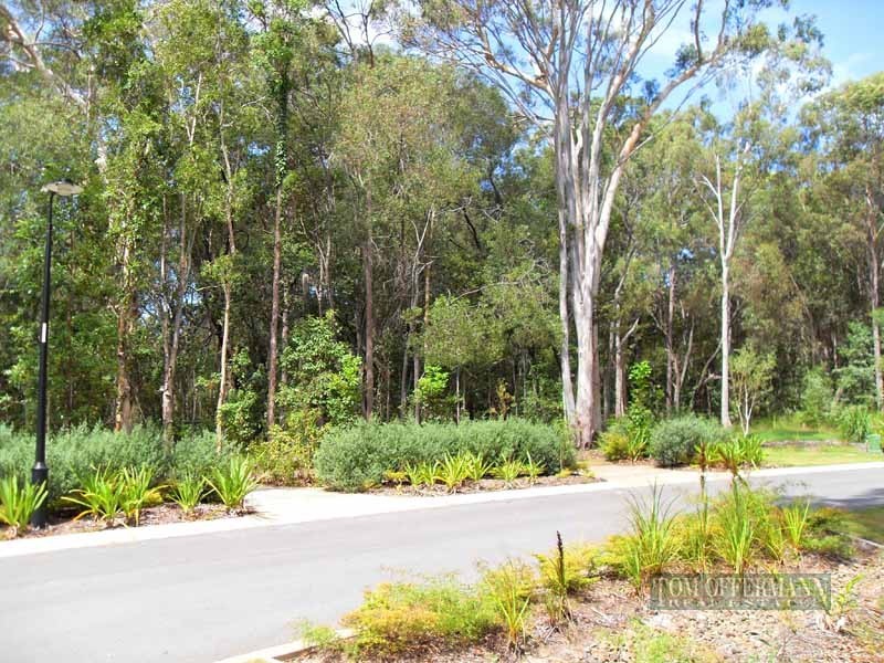 5 Moorhen Place, Noosaville QLD 4566