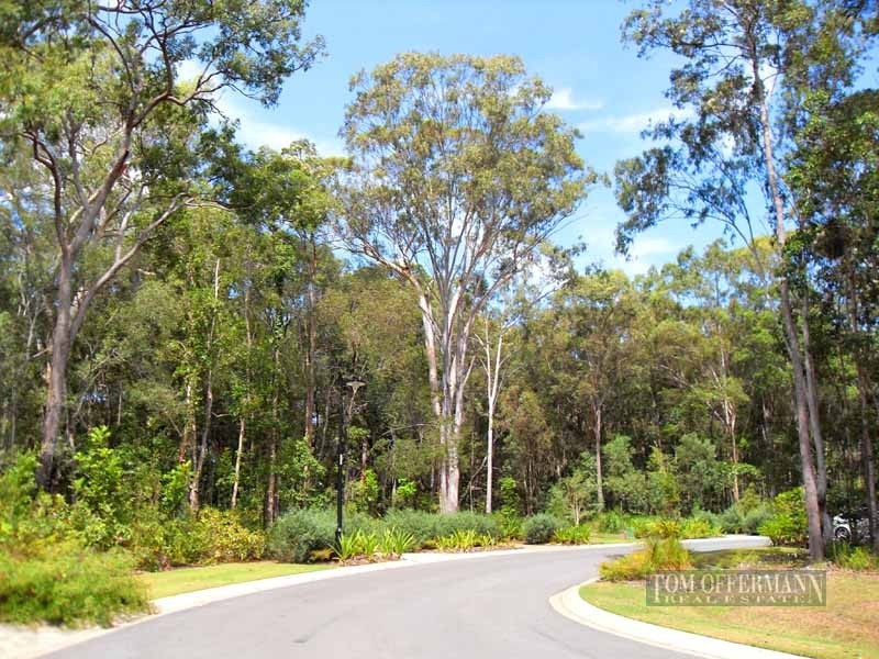 5 Moorhen Place, Noosaville QLD 4566