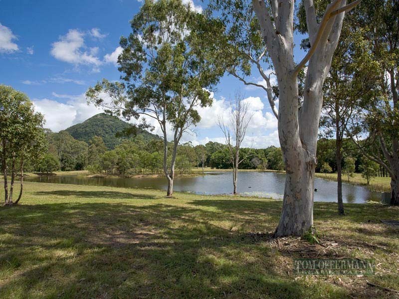 551 Cooroy Mountain Road, Cooroy Mountain QLD 4563