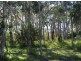 71 Noosa River Drive, Noosa North Shore QLD 4565