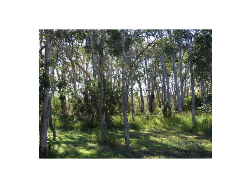 71 Noosa River Drive, Noosa North Shore QLD 4565