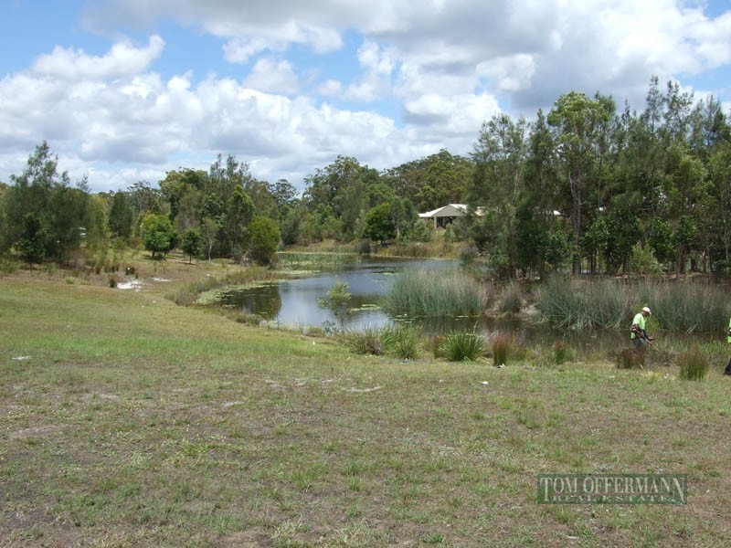 11 Aspera Place, Noosaville QLD 4566