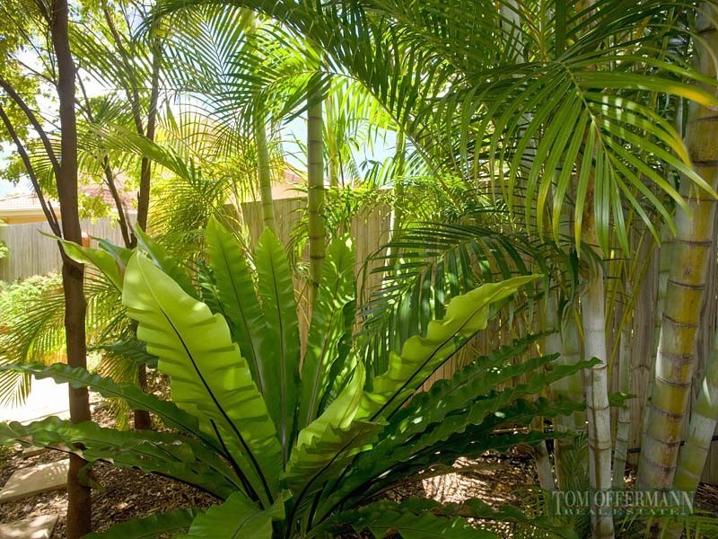 1/27 Bluefin Court, Noosaville QLD 4566