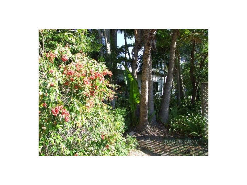 29 Nannygai Street, Noosaville QLD 4566