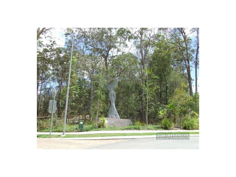 41 Jacksonia Place, Noosaville QLD 4566