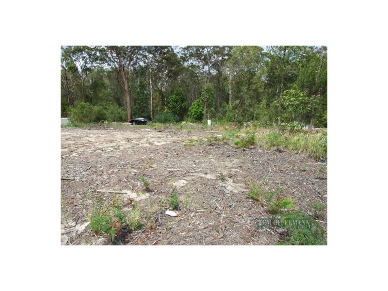 41 Jacksonia Place, Noosaville QLD 4566