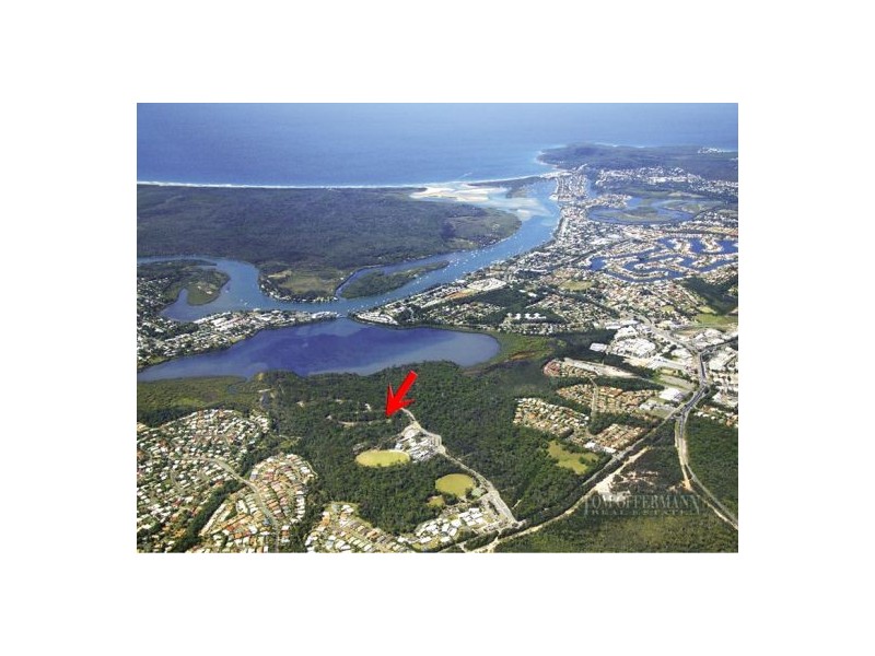 41 Jacksonia Place, Noosaville QLD 4566