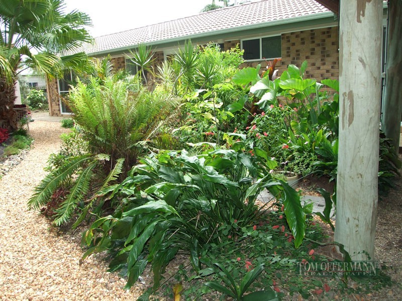8 Lyne Court, Tewantin QLD 4565