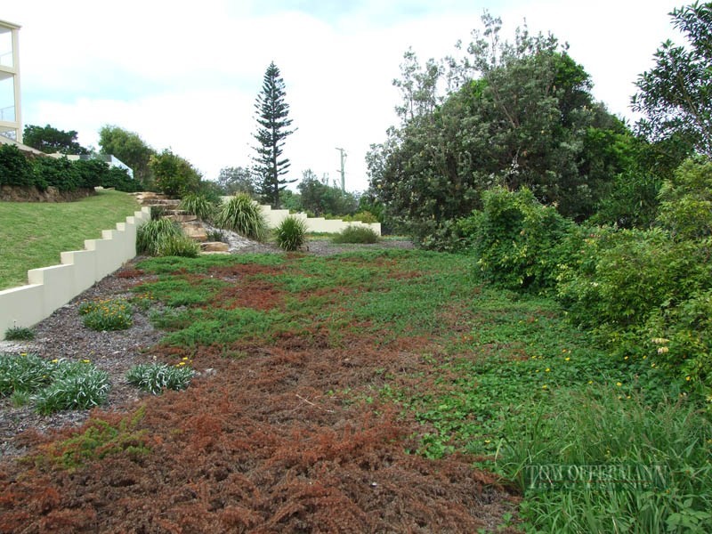 17 McAnally Drive, Sunshine Beach QLD 4567