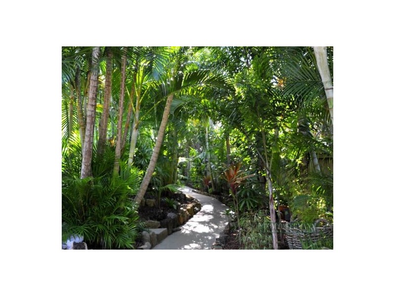 24 Cooloosa St, Sunshine Beach QLD 4567