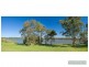 29 Doonella St, Tewantin QLD 4565