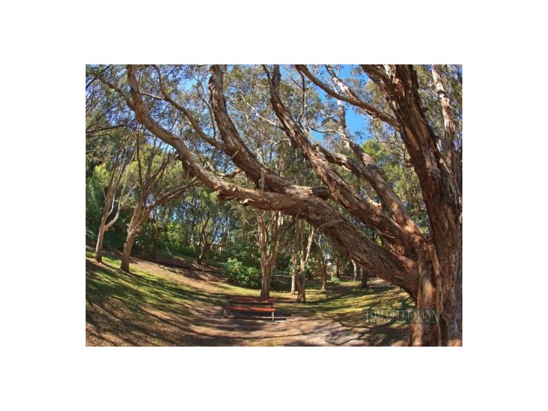 2/14 Ray St, Sunshine Beach QLD 4567