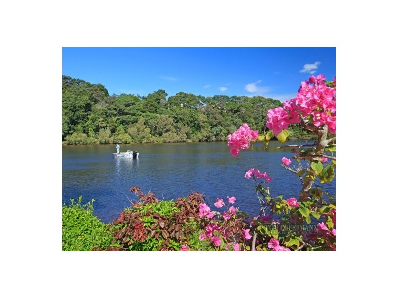 55 Witta Circle, Noosa Heads QLD 4567