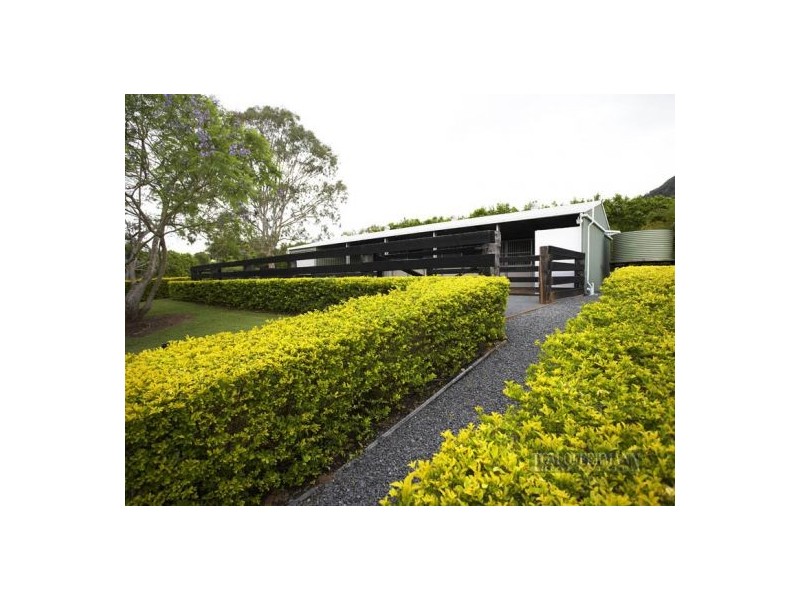 491 Cooroy Mountain Road, Cooroy QLD 4563