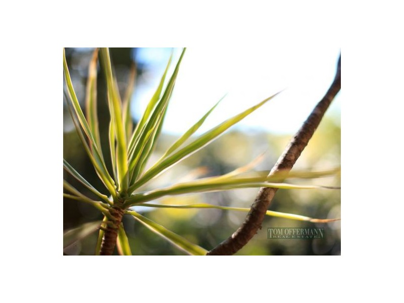 1/12 Advance Place, Sunrise Beach QLD 4567