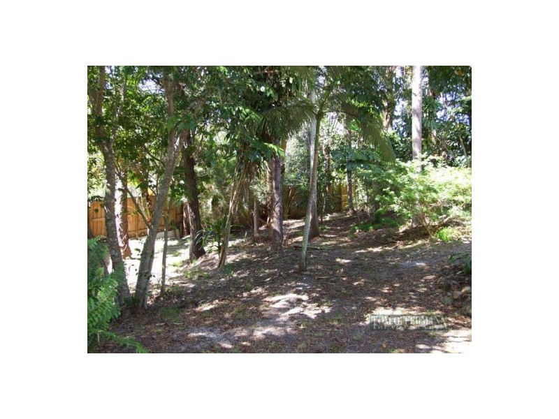 36 Banksia Ave, Noosa Heads QLD 4567