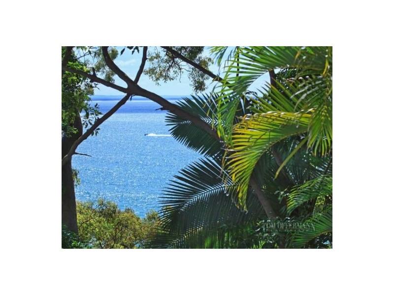 11/2 Pandanus St, Little Cove QLD 4567