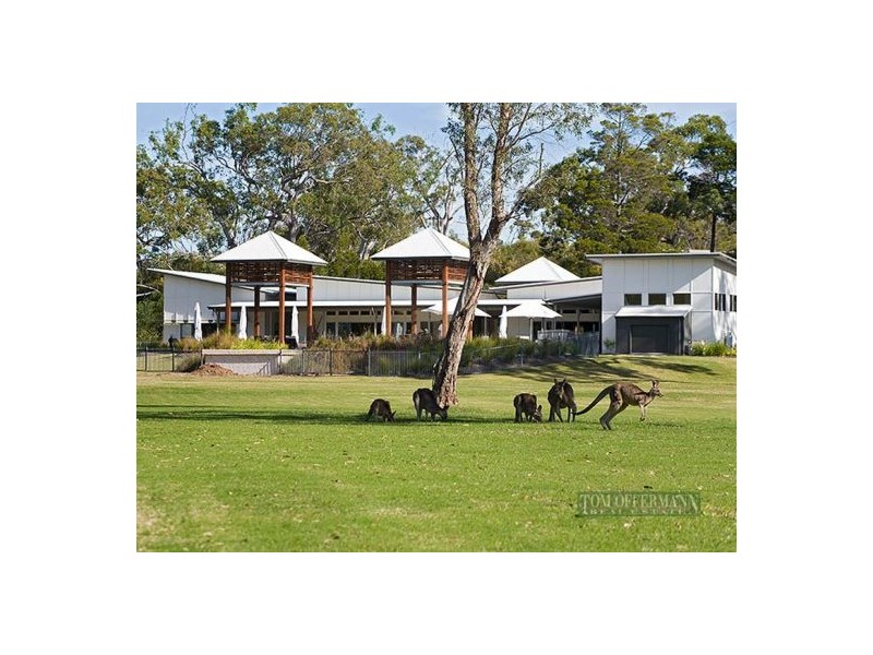 51/90 Beach Road, Noosa North Shore QLD 4565