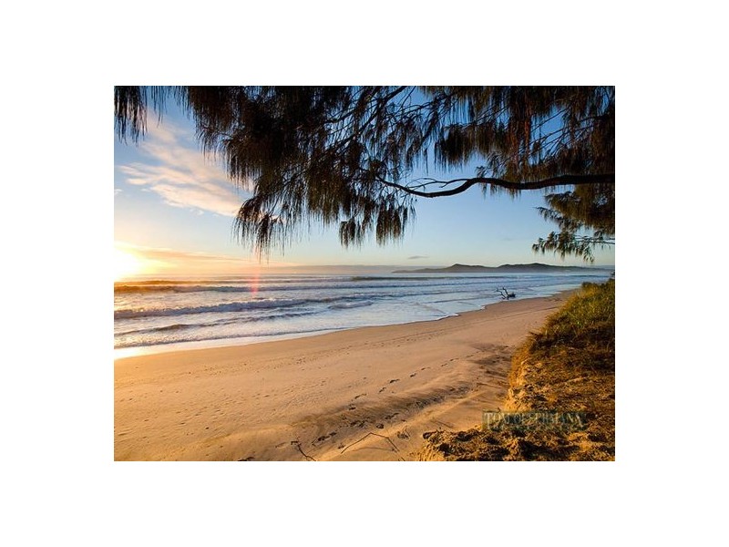 51/90 Beach Road, Noosa North Shore QLD 4565