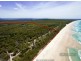 312 Teewah Beach Road, Noosa North Shore QLD 4565