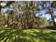 312 Teewah Beach Road, Noosa North Shore QLD 4565