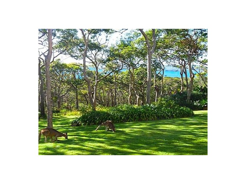 312 Teewah Beach Road, Noosa North Shore QLD 4565