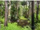 21 Tinaroo Place, Tewantin QLD 4565