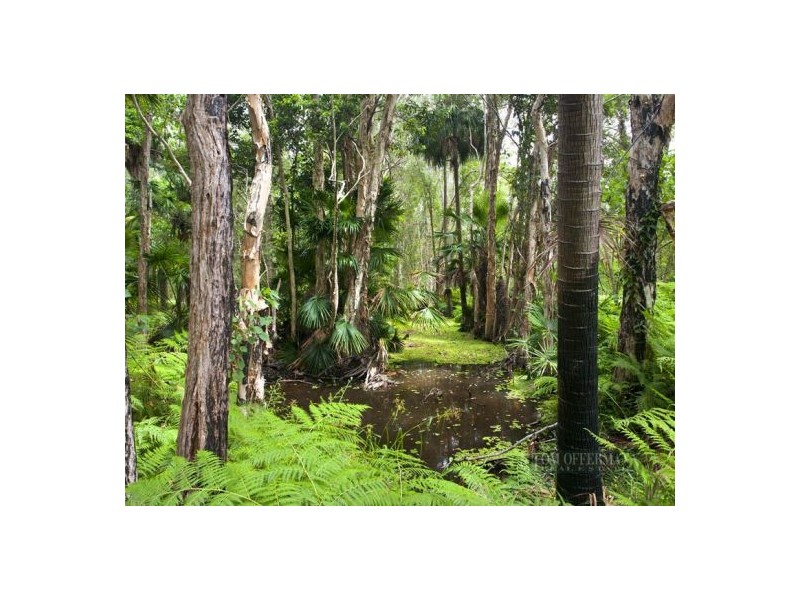 21 Tinaroo Place, Tewantin QLD 4565