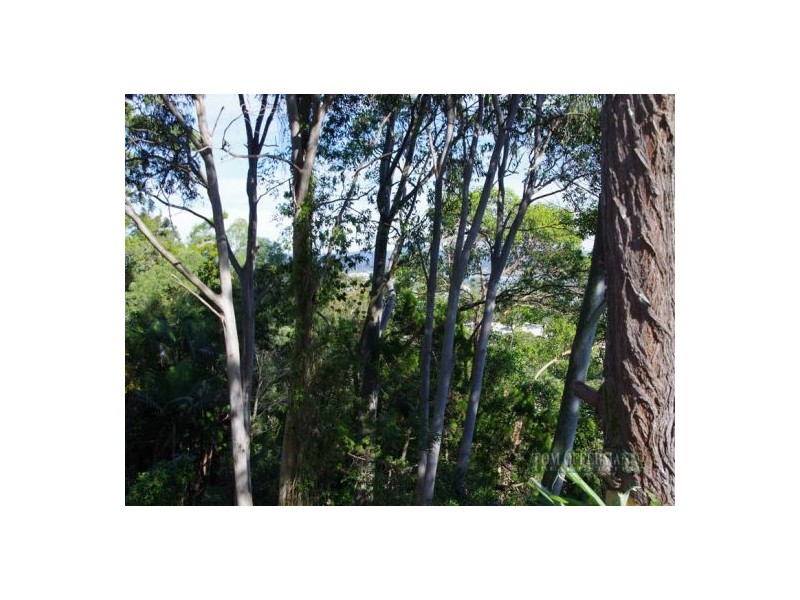 7 Allambi Rise, Noosa Heads QLD 4567