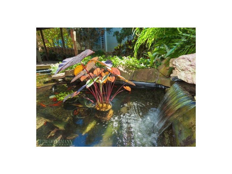 8 Mitti St, Noosa Heads QLD 4567