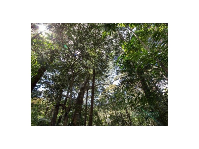 3/30 Edgar Bennett Ave, Noosa Heads QLD 4567