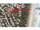 5 Sunseeker Lodge, 2 Pilchers Gap, Sunshine Beach QLD 4567