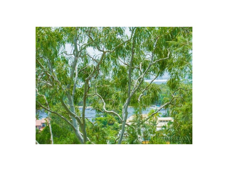 5/6 Serenity Close, Noosa Heads QLD 4567