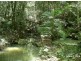 137 Sunrise Rd, Eumundi QLD 4562