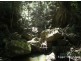 137 Sunrise Rd, Eumundi QLD 4562