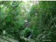 137 Sunrise Rd, Eumundi QLD 4562