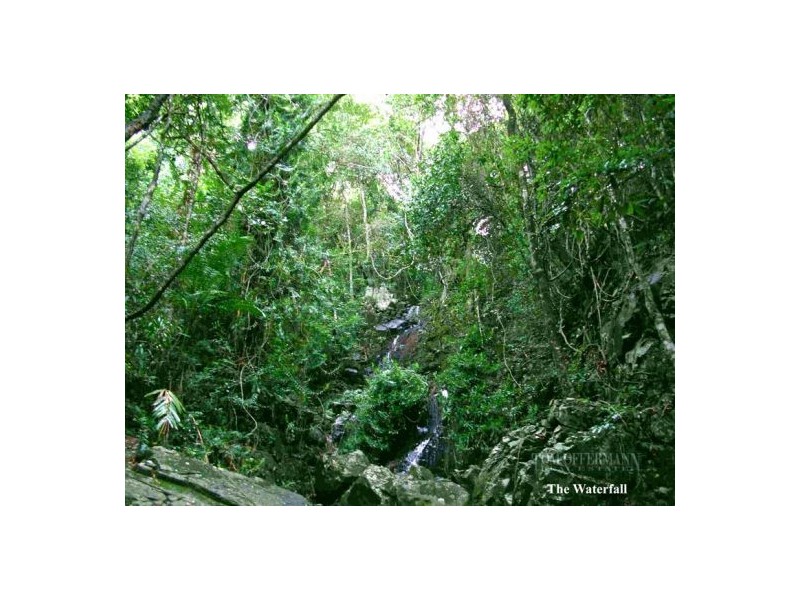 137 Sunrise Rd, Eumundi QLD 4562