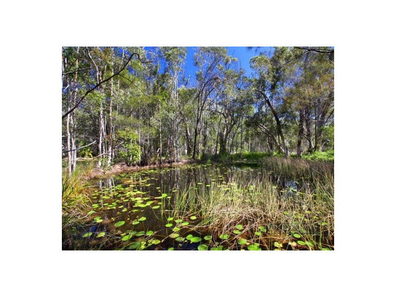 354 Lake Cooroibah Road, Cooroibah QLD 4565