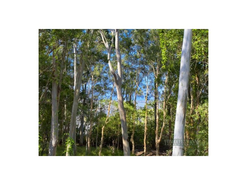5 Morning Glory Drive, Cooroibah QLD 4565