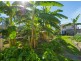 15 Hilton Esplanade, Tewantin QLD 4565