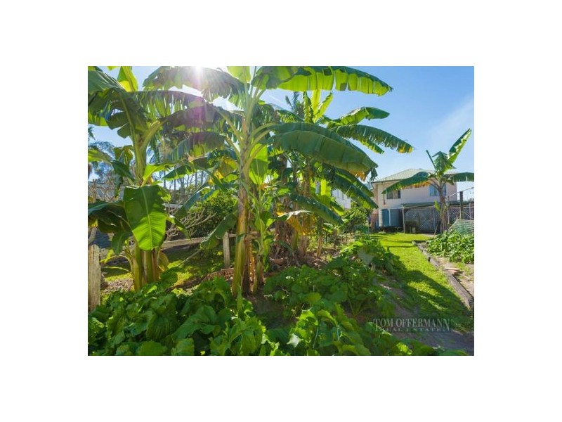 15 Hilton Esplanade, Tewantin QLD 4565