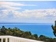 28 Angler St, Noosa Heads QLD 4567
