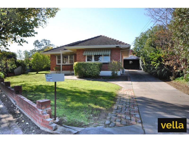 38 Douglas Street, Magill SA 5072
