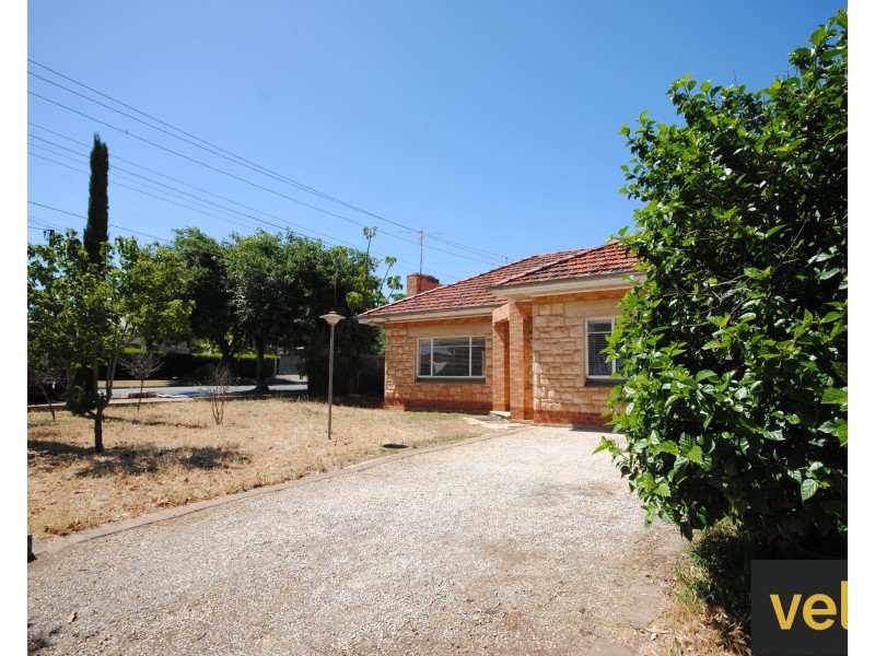 41 Angwin Avenue, Prospect SA 5082
