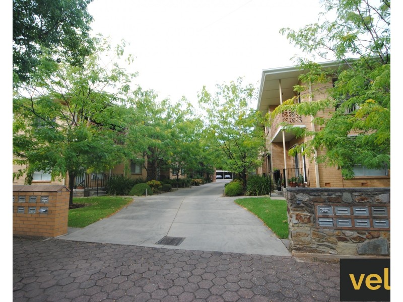 7/88 Hewitt Avenue, Toorak Gardens SA 5065