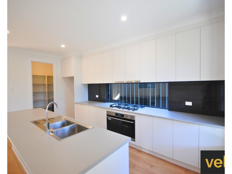 156A Raglan Avenue, South Plympton SA 5038