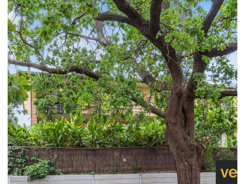 9/4 Loch Street, Stepney SA 5069