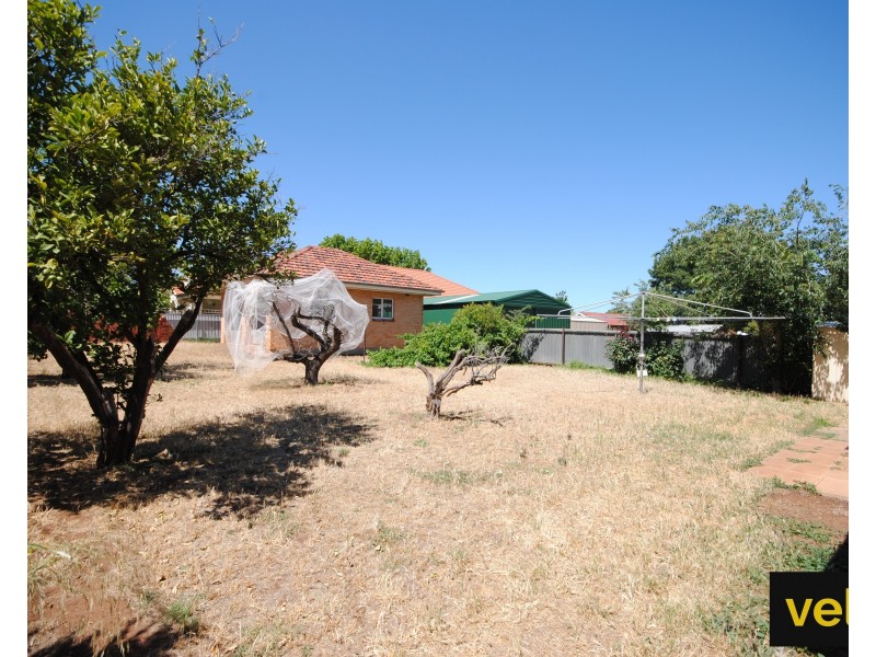 41 Angwin Avenue, Prospect SA 5082