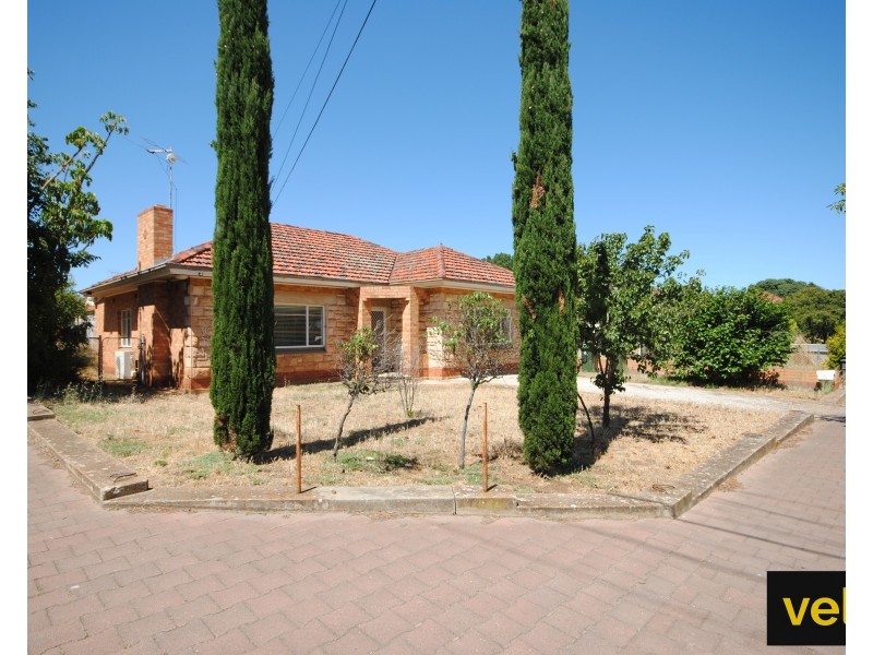 41 Angwin Avenue, Prospect SA 5082