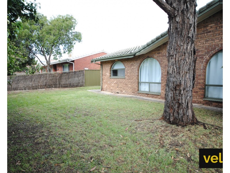 15 Randolph Avenue, Fullarton SA 5063